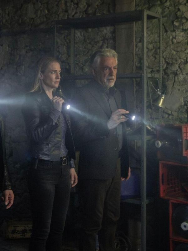 Esprits criminels S17 E9