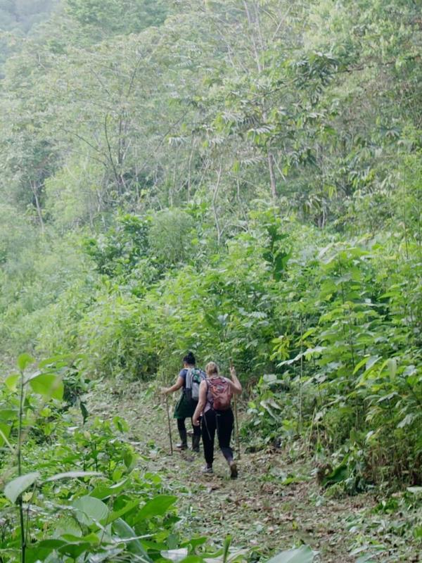 Génération en reconnexion