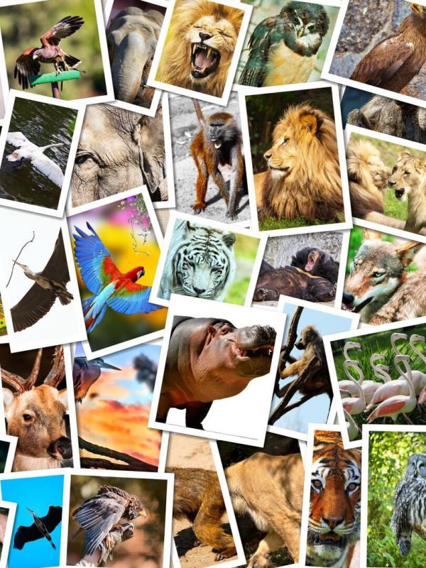 Inside Britain's National Parks