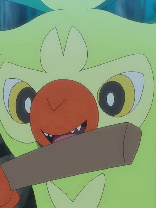 Pokémon : Les voyages S25 E11