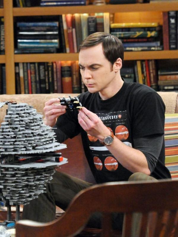 The Big Bang Theory S5 E8