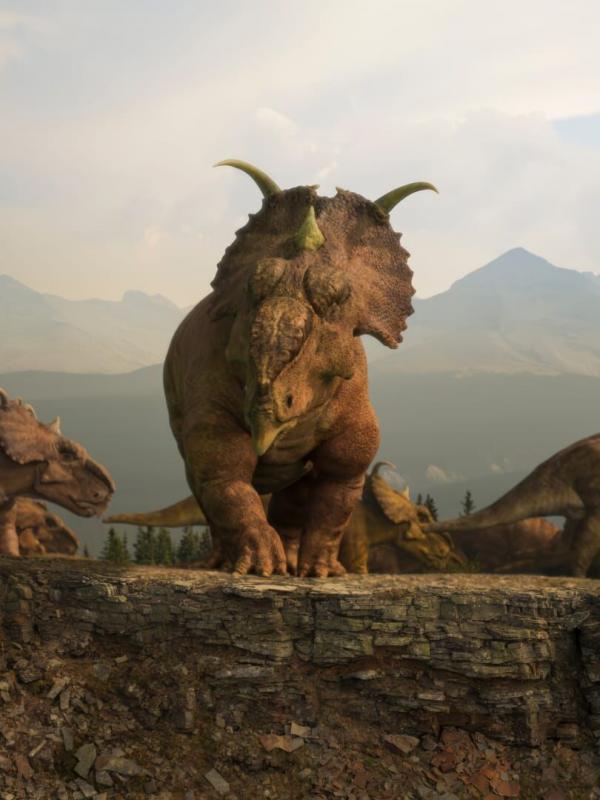 Unter Dinos - Geheimnisse der Urzeit