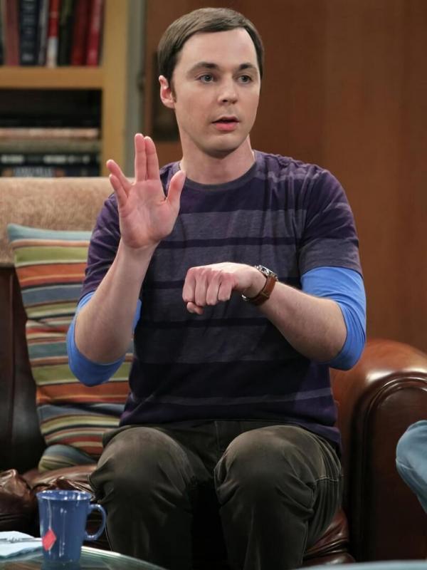 The Big Bang Theory S5 E17