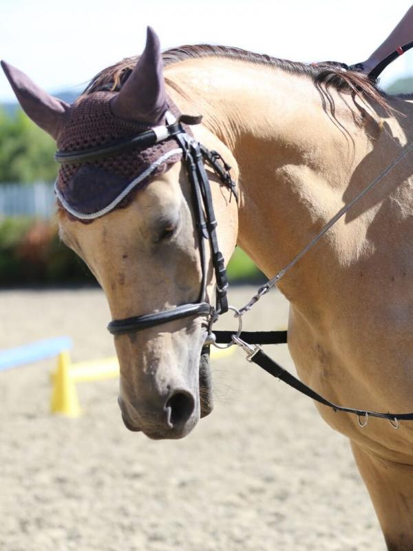 Decouvoux indoor derby