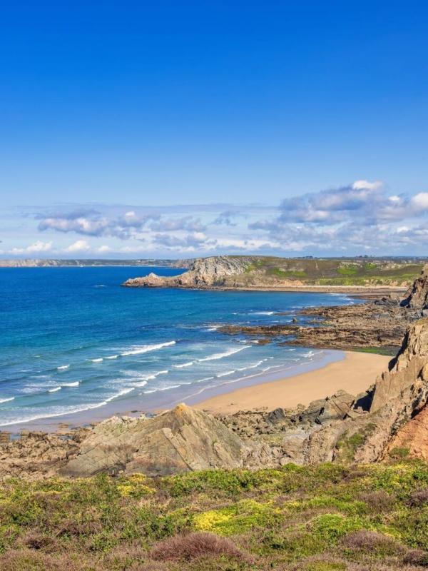 Pelagos, au coeur de la Méditerranée