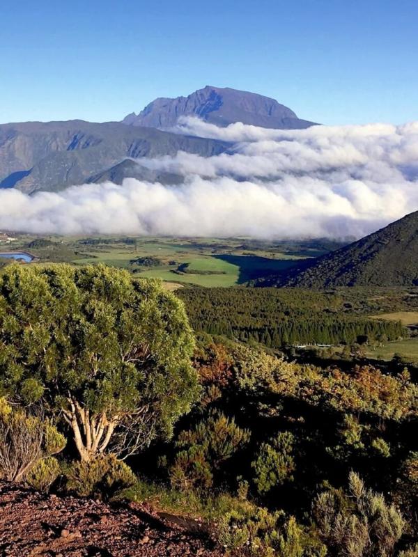 Des volcans et des hommes