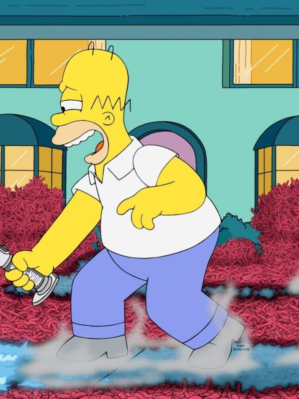 Les Simpson S34 E20