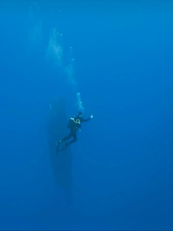 Thalassa, aventures extrêmes