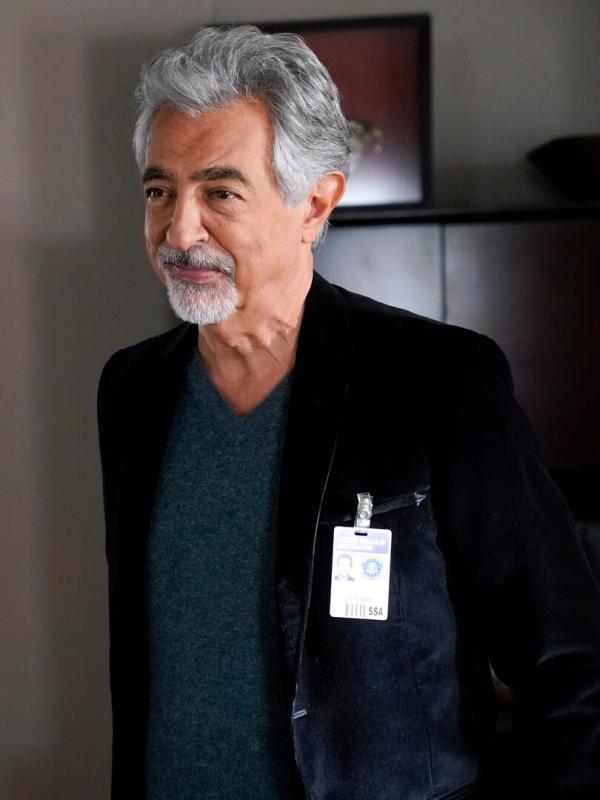 Esprits criminels S14 E8