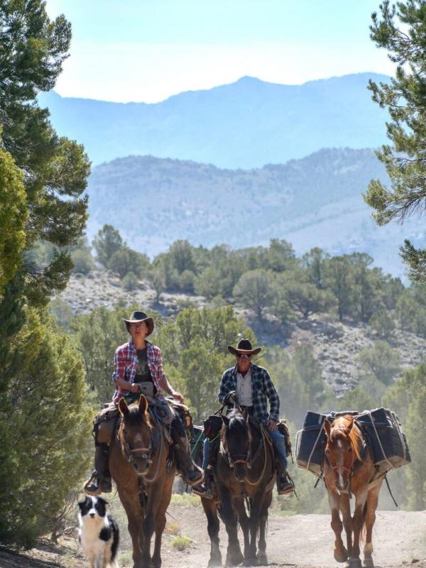 Reiten ins Abenteuer - Mit vier Mustangs durch den Wilden Westen
