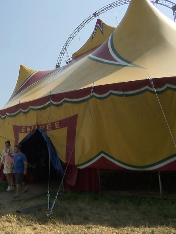 Cleaners les experts du ménage