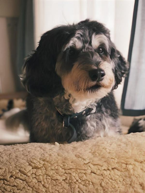 Neue Geschichten vom Pumuckl S2 E4