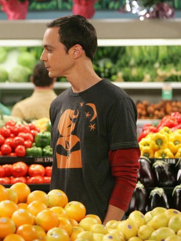 The Big Bang Theory S1 E4