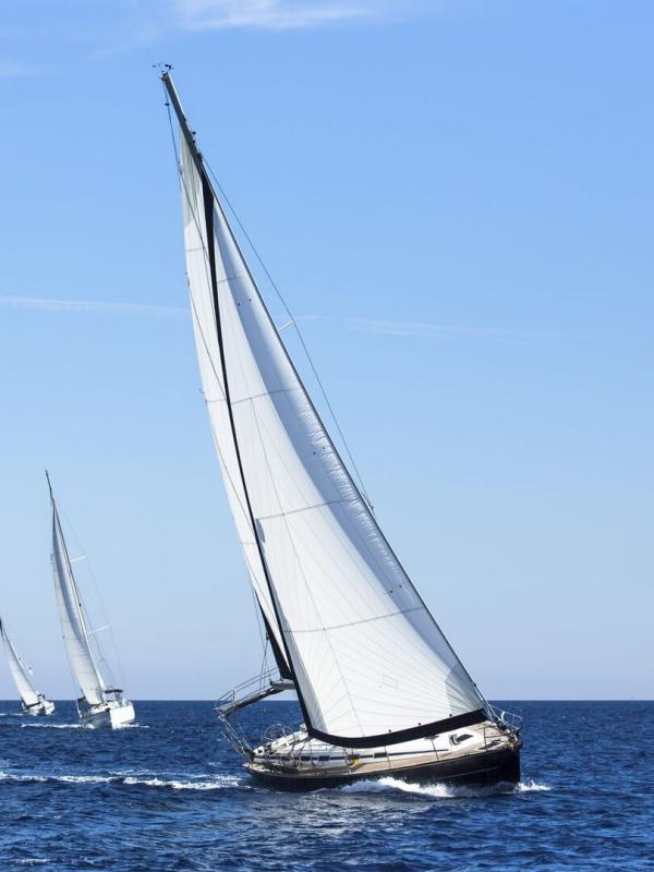 L'année Sail GP
