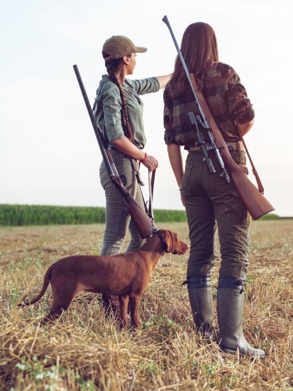 Québec à vol d'oiseau
