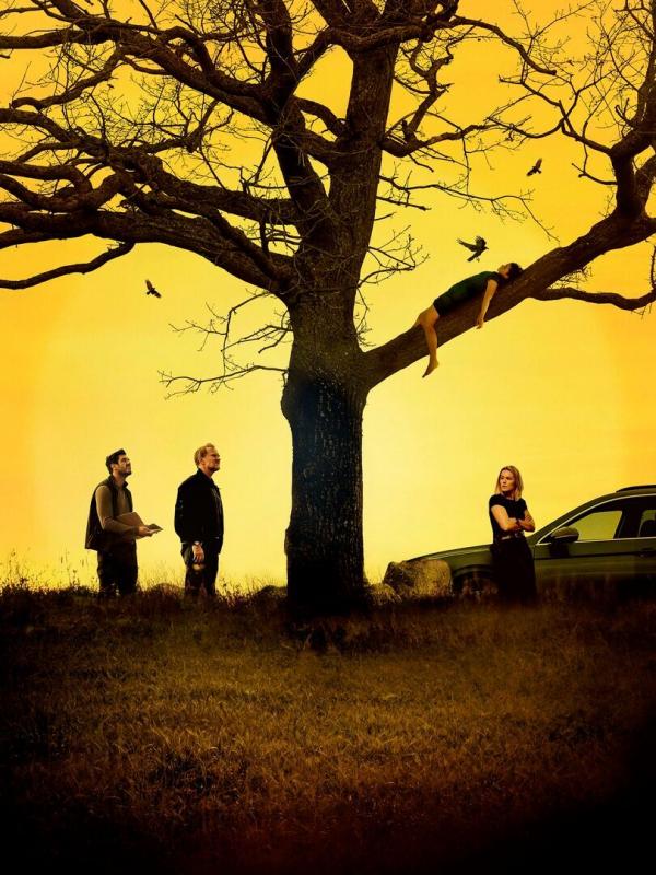 Les enquêtes du département V : Promesse