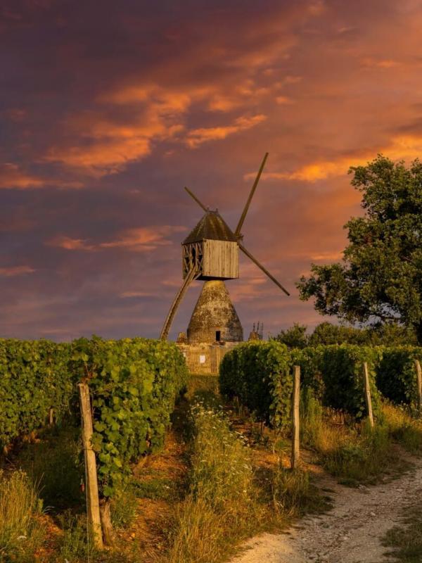 Les visages du crime en région