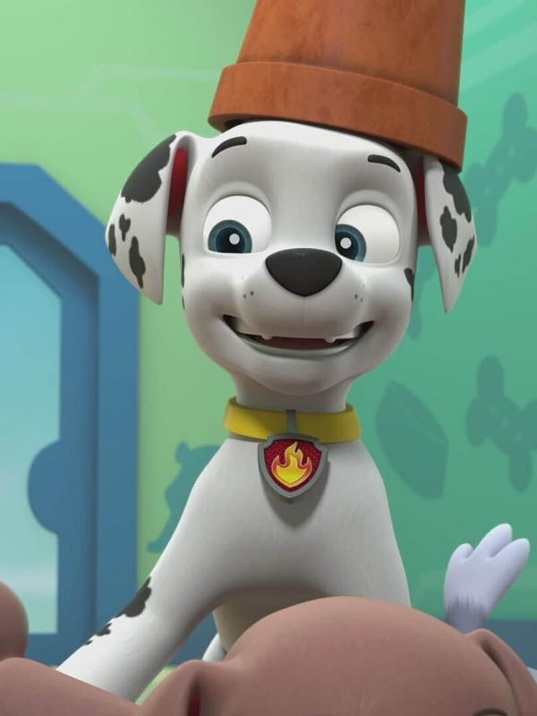 Paw Patrol S10 E20