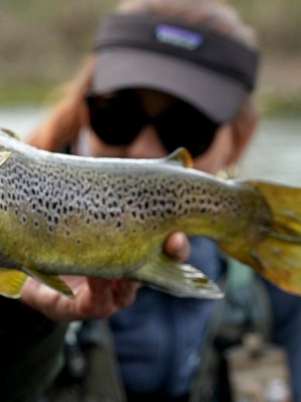 Grandes Truites de printemps à la mouche