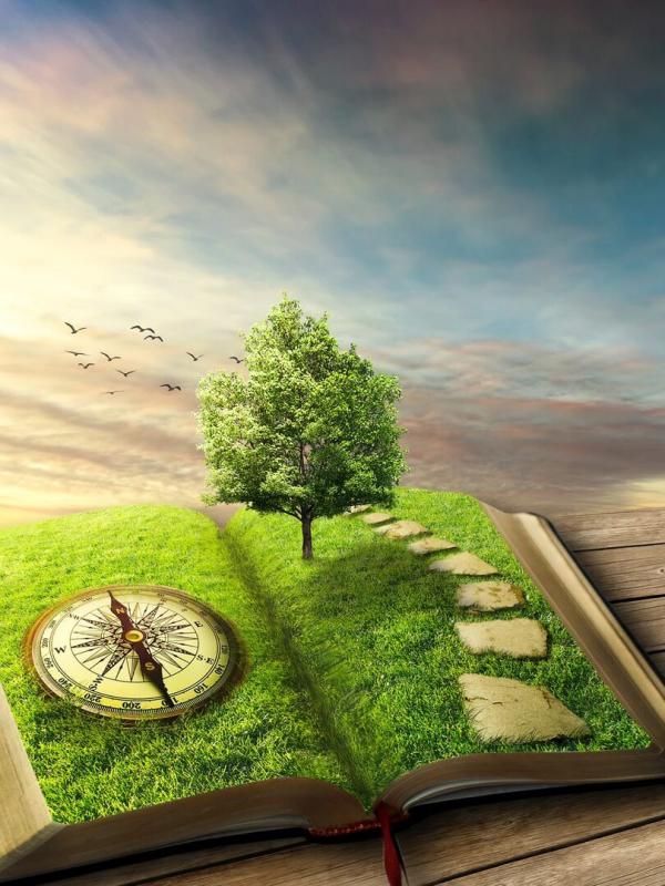 Les Marsupilamis S1 E29