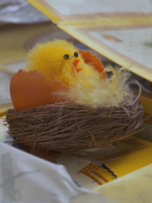 Au cœur des douanes : Espagne