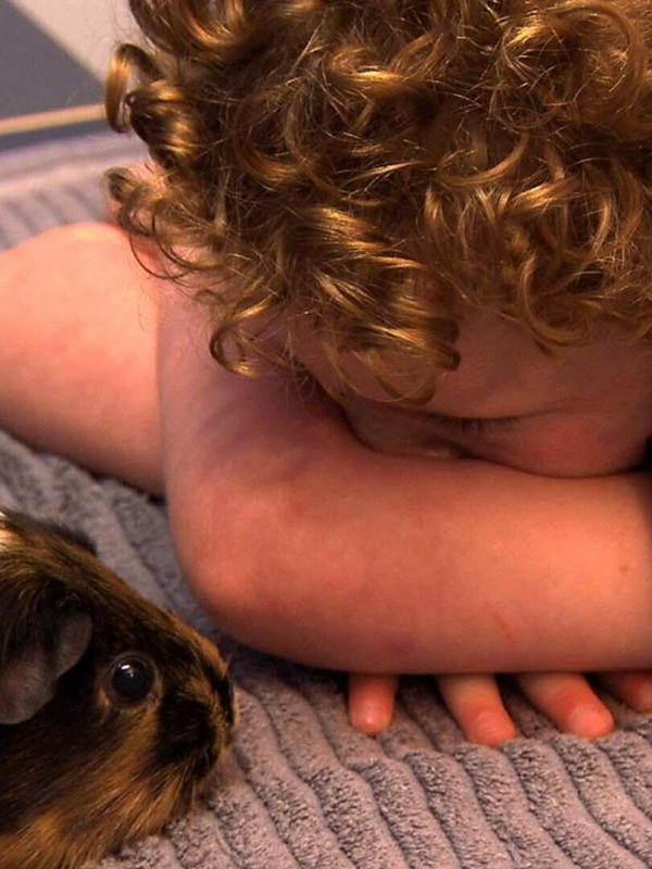 Le vétérinaire de Bondi Beach