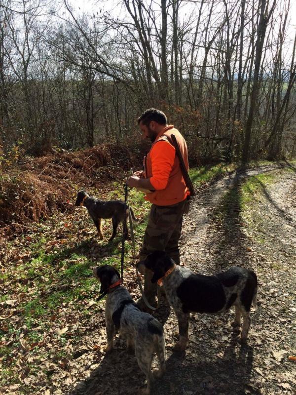 Derrière les renards