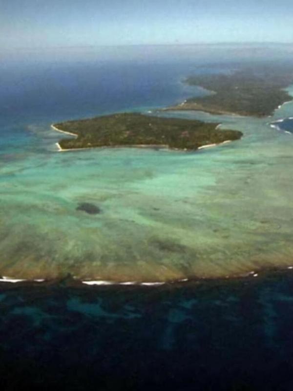 Héritages et énigmes du monde marin