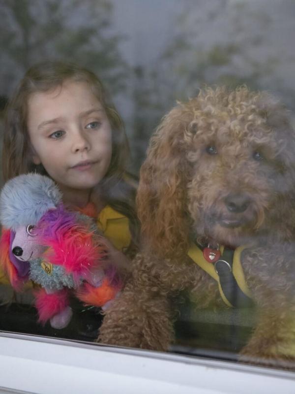 Waffle, le chien waouh S2 E23