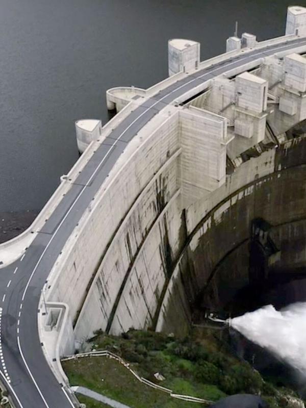 Poissons migrateurs, un déclin inexorable ?