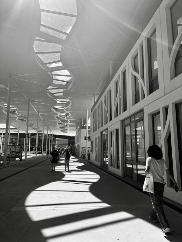 Etudiantes en terrain miné