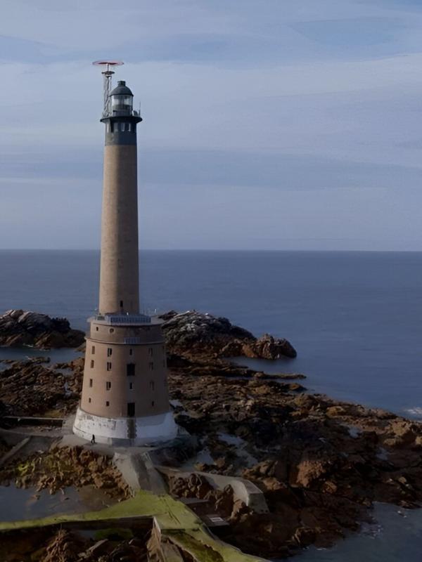 Des racines et des ailes