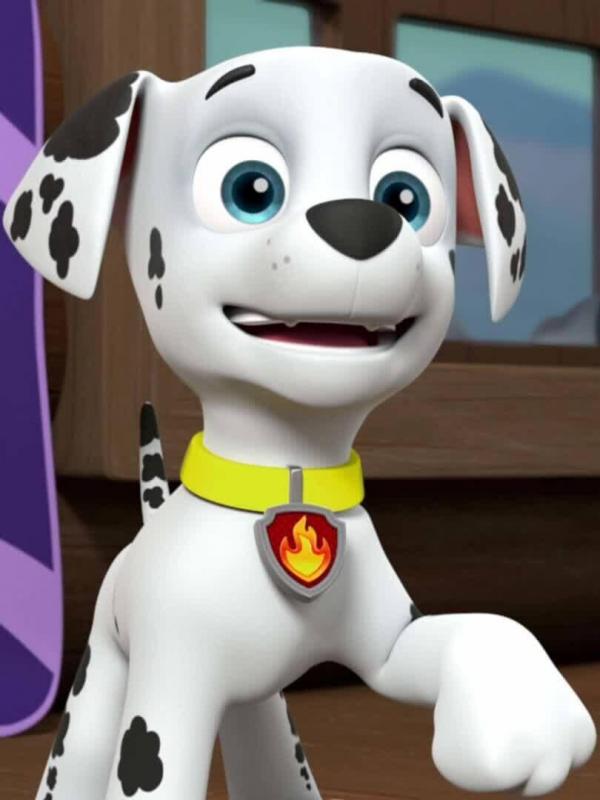 Paw Patrol S4 E6