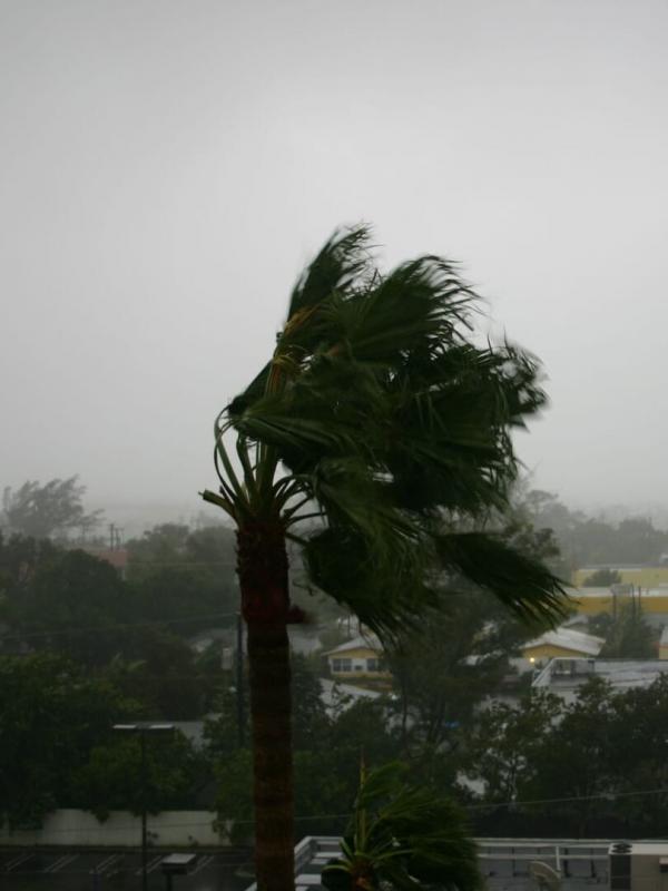 Quand les éléments se déchaînent