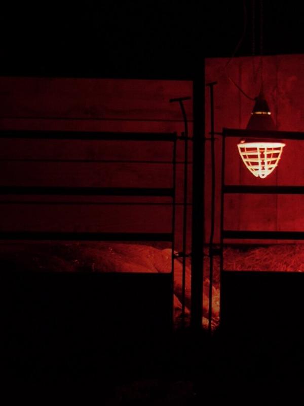 Nourrir pour ses idées