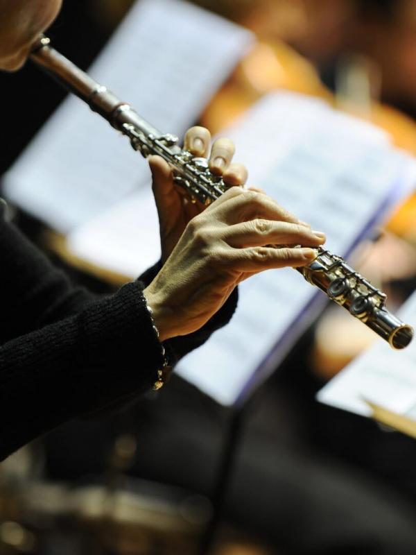 Joaquín Achúcarro - Chopin, Grieg, Brahms, Rachmaninov, Scriabine, Liszt