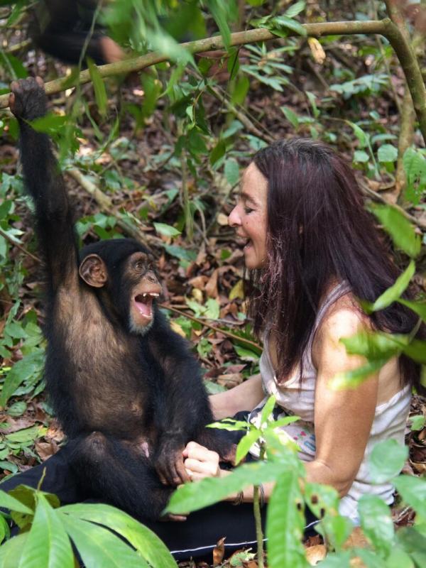 A l'école des chimpanzés