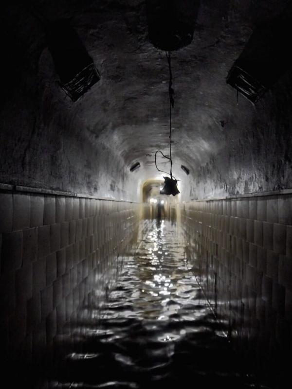 L'antre des dictateurs