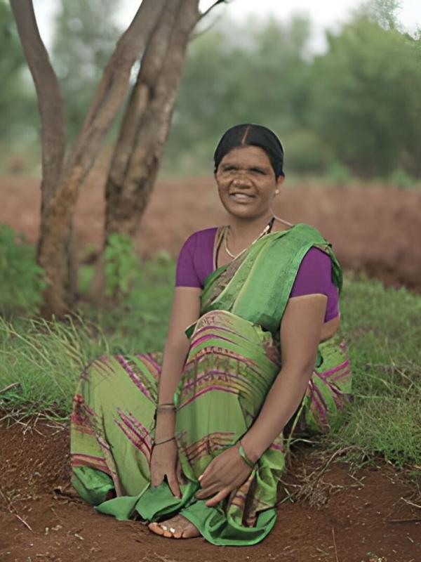 Alimentation : l'avenir en céréales ?