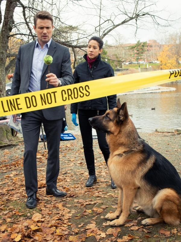 Hudson et Rex S1 E5