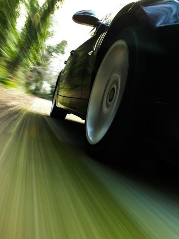 Type E, le fauve éternel