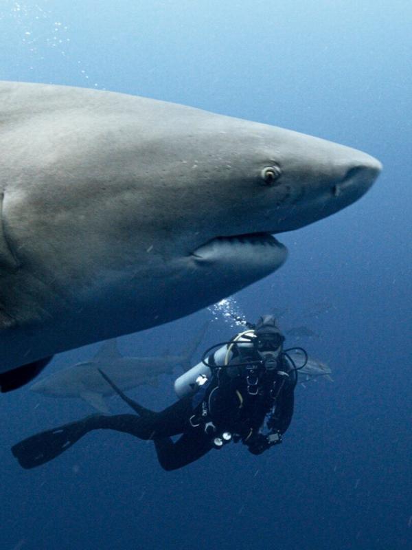 Lizzie Daly, les profondeurs d'Amérique du Nord