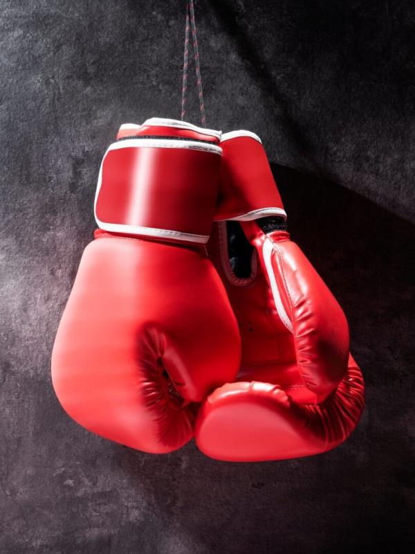 Gervonta Davis - Lamont Roach