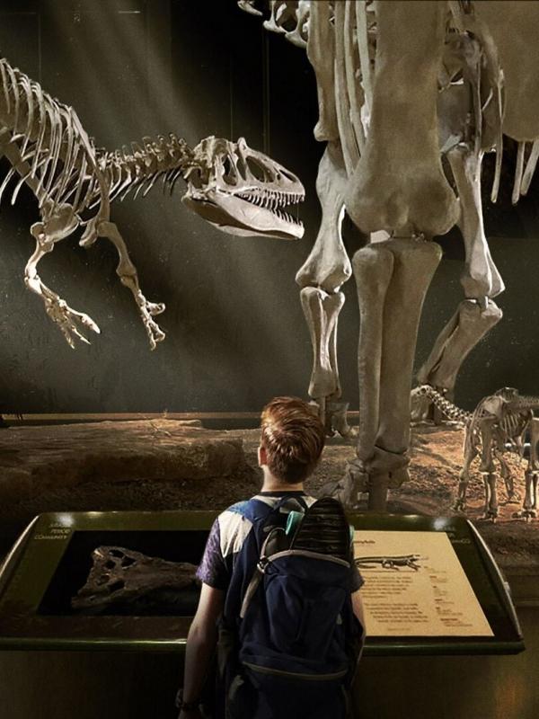 Jurassic Pet, l'odyssée d'Albert