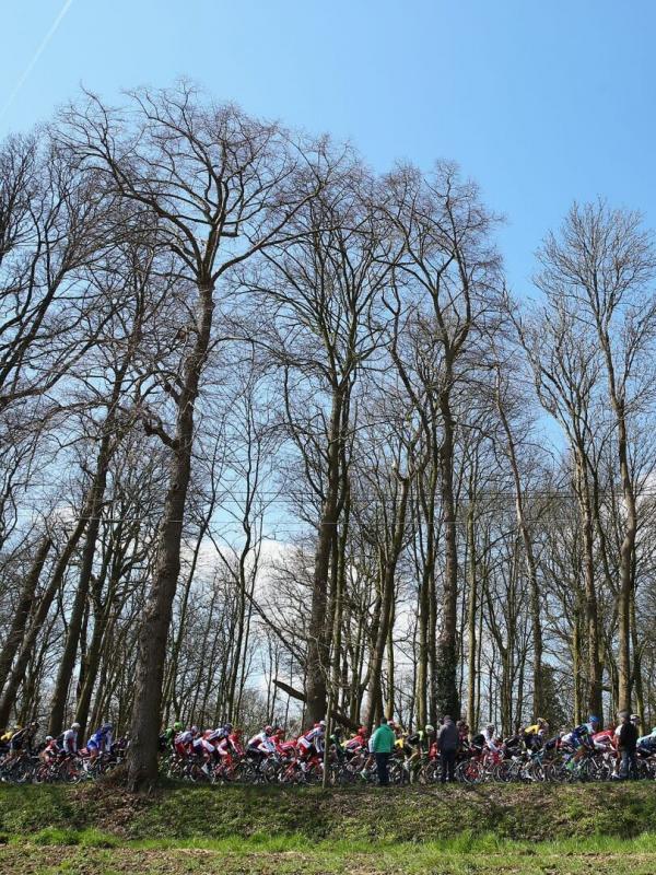 Tour des Flandres