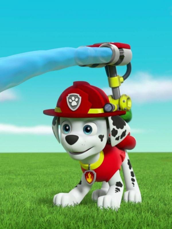 Paw Patrol S4 E1