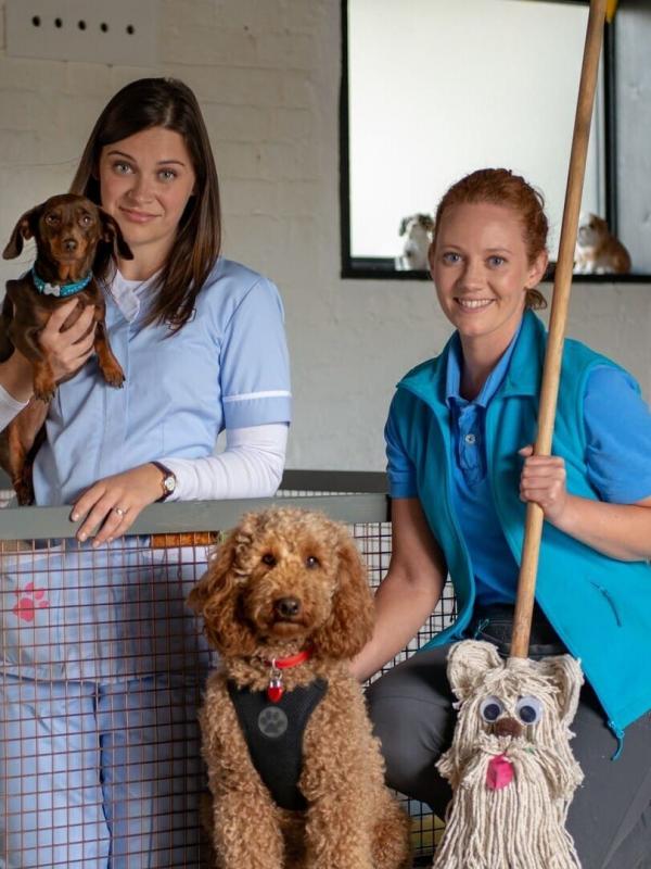 Waffel de wonderhond S2 E12