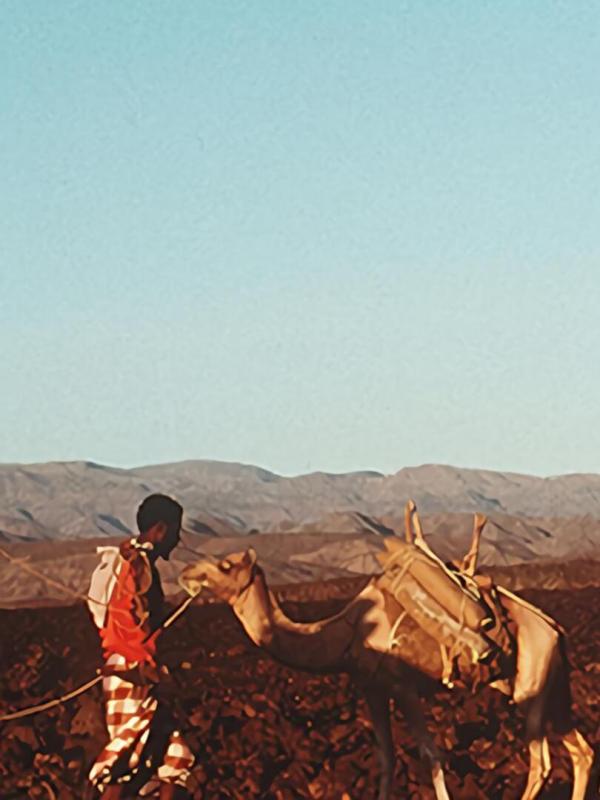 Opération Okavango