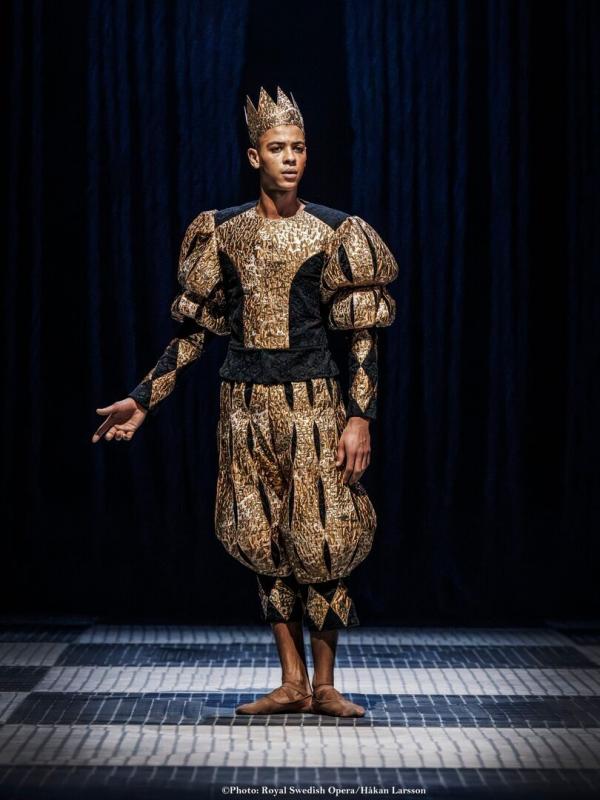 Gustavia, l'histoire du prince de Suède inconnu