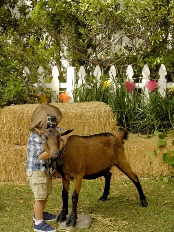 Modern Family S8 E7